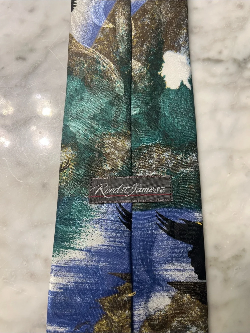 Men's Scenic Eagle Print Tie in Blue and Green